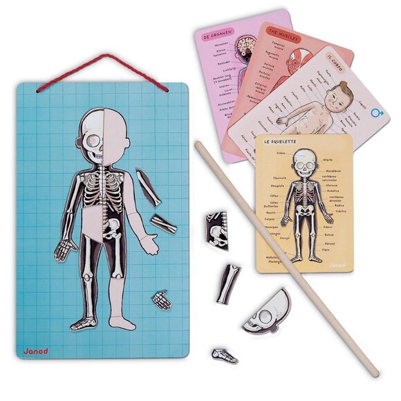 Janod-Body Magnet Human Body Game Magnetic Anatomy Puzzle For Age 7+ New in Box - Picture 4 of 16